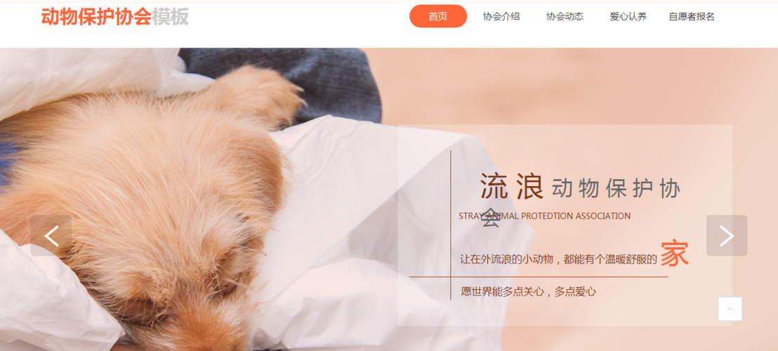 杭州动物保护协会网站建设_做网站【980元】_网页定制制作与开发_小